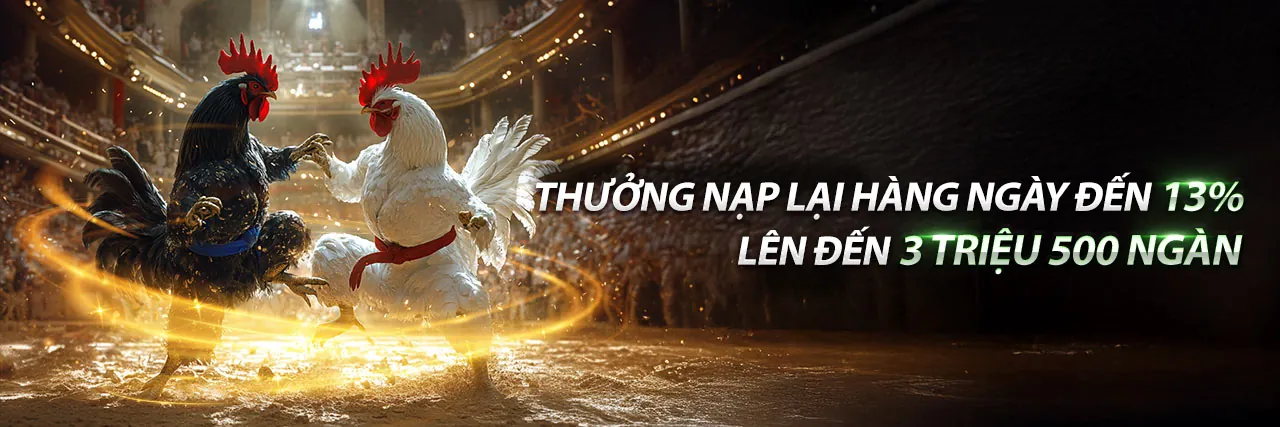 Điều Khoản Dịch Vụ daga88 đá gà 88